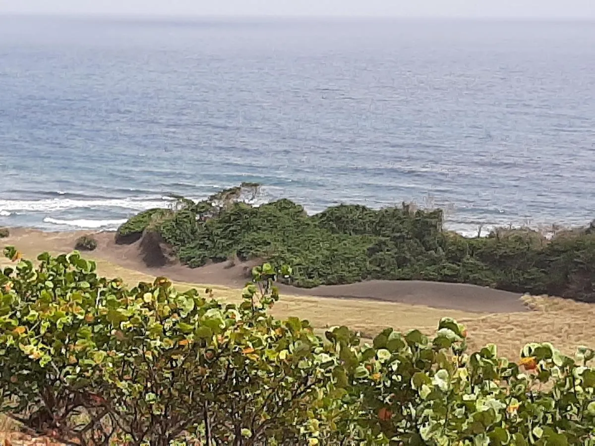 ****  The Milligan Hotel Kingstown Saint Vincent and the Grenadines
